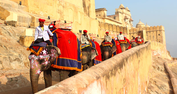Royal Rajasthan